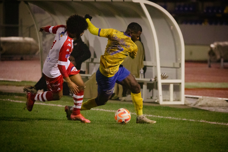 N2-100.jpg